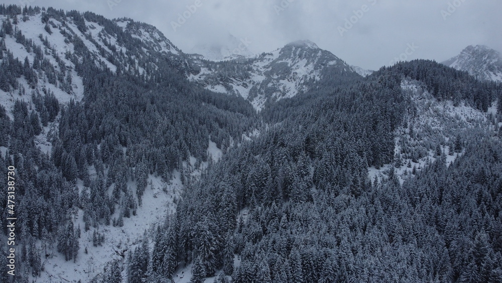 bosque en la montaña cubierto por nieve, foto tomada de un drone.