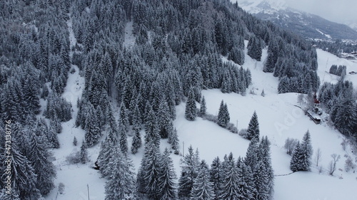bosque en ladera de montaña cubierto de nieve. © lucasezequiel