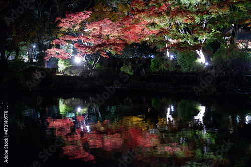 夜の横浜公園 © Haru
