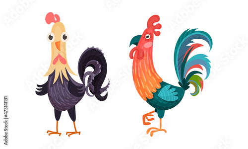 Roosters farm birds poultry breeding cartoon vector illustration