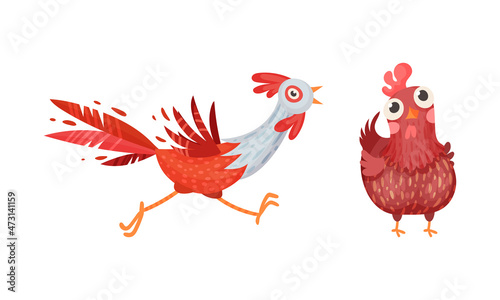Funny rooster and hen, farm birds poultry breeding cartoon vector illustration