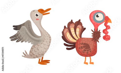 Goose and turkey, farm birds poultry breeding cartoon vector illustration