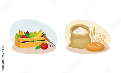 Farm products of agricultural industry set. Wooden crate of fresh organic vegetables and sak of flower cartoon vector illustration