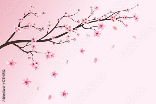 Fényképezés Realistic cherry blossom branch