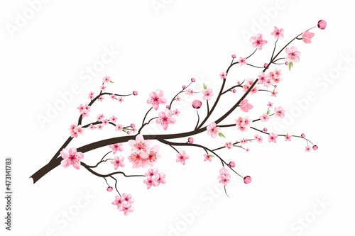 Fotografija Cherry blossom with blooming watercolor Sakura flower