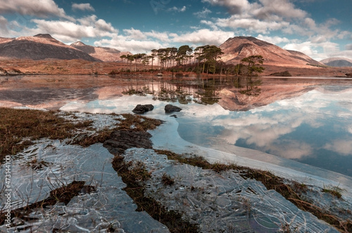 Εκτύπωση καμβά pine island connemara ireland near galway landscape