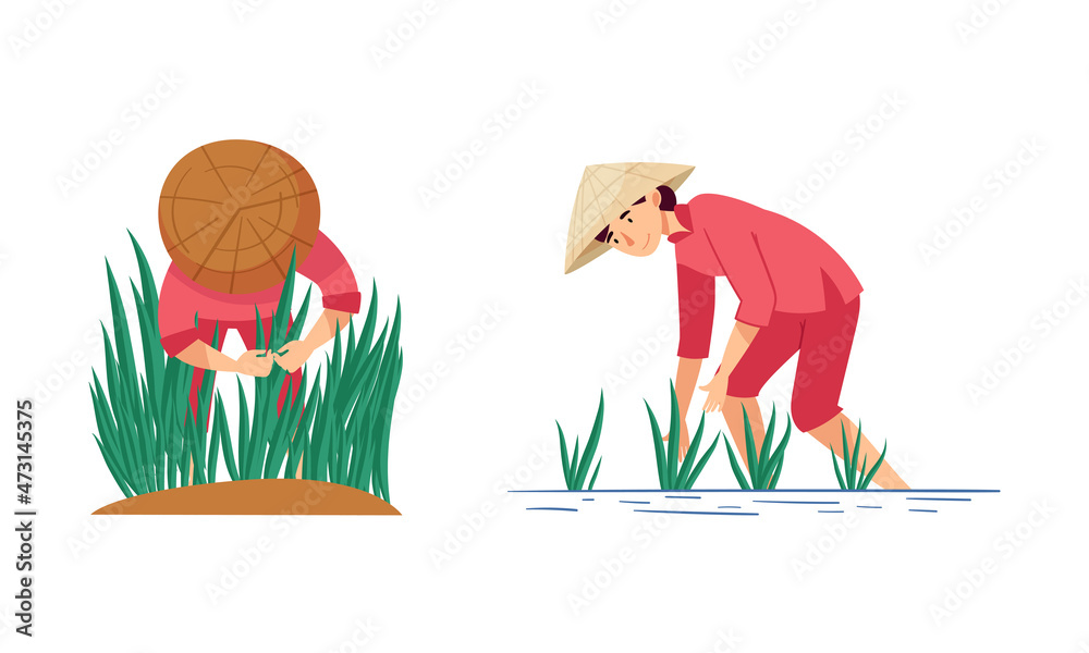 Asian farmers working on farm set. Peasants in straw conical hats planting  rice on field cartoon vector illustration Stock Vector | Adobe Stock