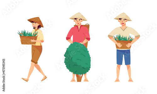 Asian farmers working on farm set. Peasants in straw conical hats planting rice and harvesting tea on field cartoon vector illustration