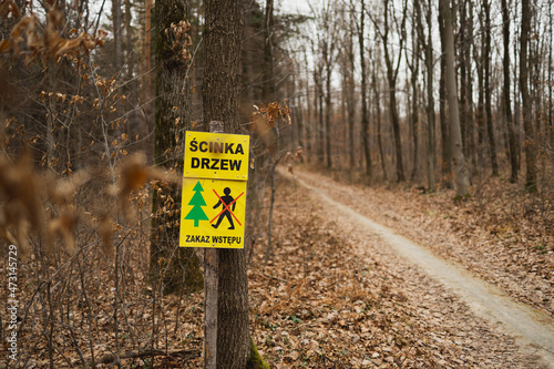 danger in a forest, sign of tree felling 
