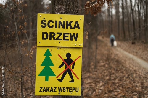 danger in a forest, sign of tree felling, woman with a dog breaking a ban