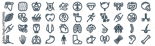 anatomy thin line icon set such as pack of simple sperm, tooth, vocal cords, hand bones, joint, skin, intestine icons for report, presentation, diagram, web design