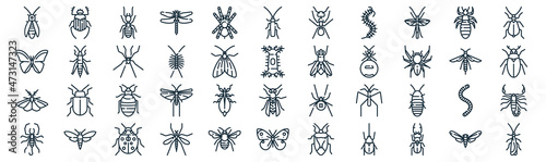 Photo insects thin line icon set such as pack of simple tarantula, centipede, bedbug,