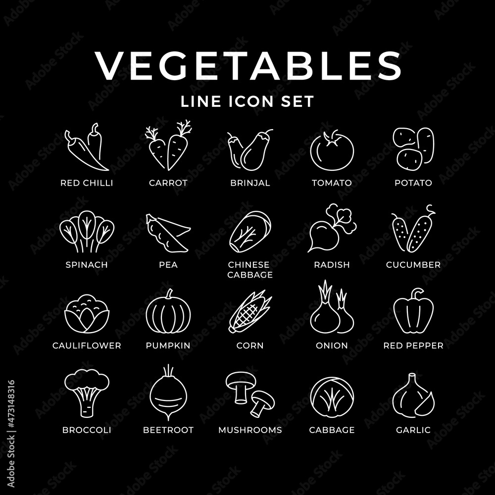 Set line icons of vegetables isolated on black Set line icons of vegetables isolated on black