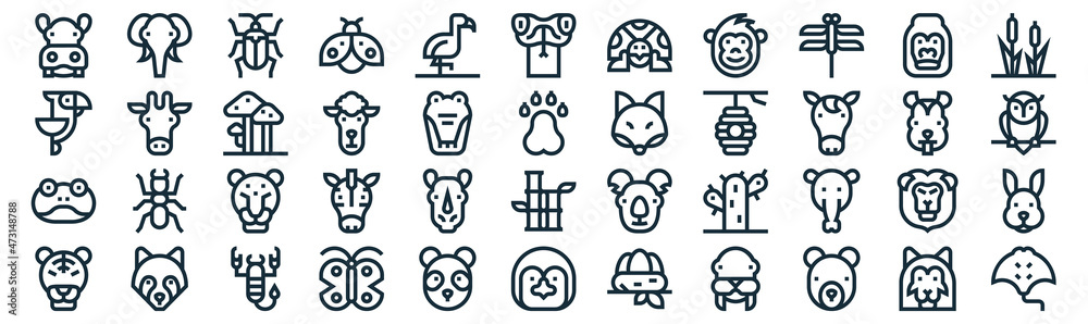 wildlife thin line icon set such as pack of simple flamingo, sheep, leopard, racoon, frog, mushroom, gorilla icons for report, presentation, diagram, web design wildlife thin line icon set such as pack of simple flamingo, sheep, leopard, racoon, frog, mushroom, gorilla icons for report, presentation, diagram, web design