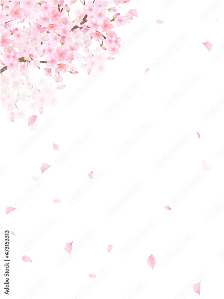 美しく華やかな満開の桜の花と花びら舞い散る春の白バック縦フレームベクター素材イラスト