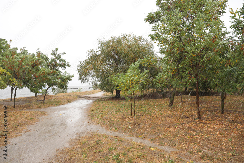 Fototapeta premium Beautiful view of trees near river during rain in autumn