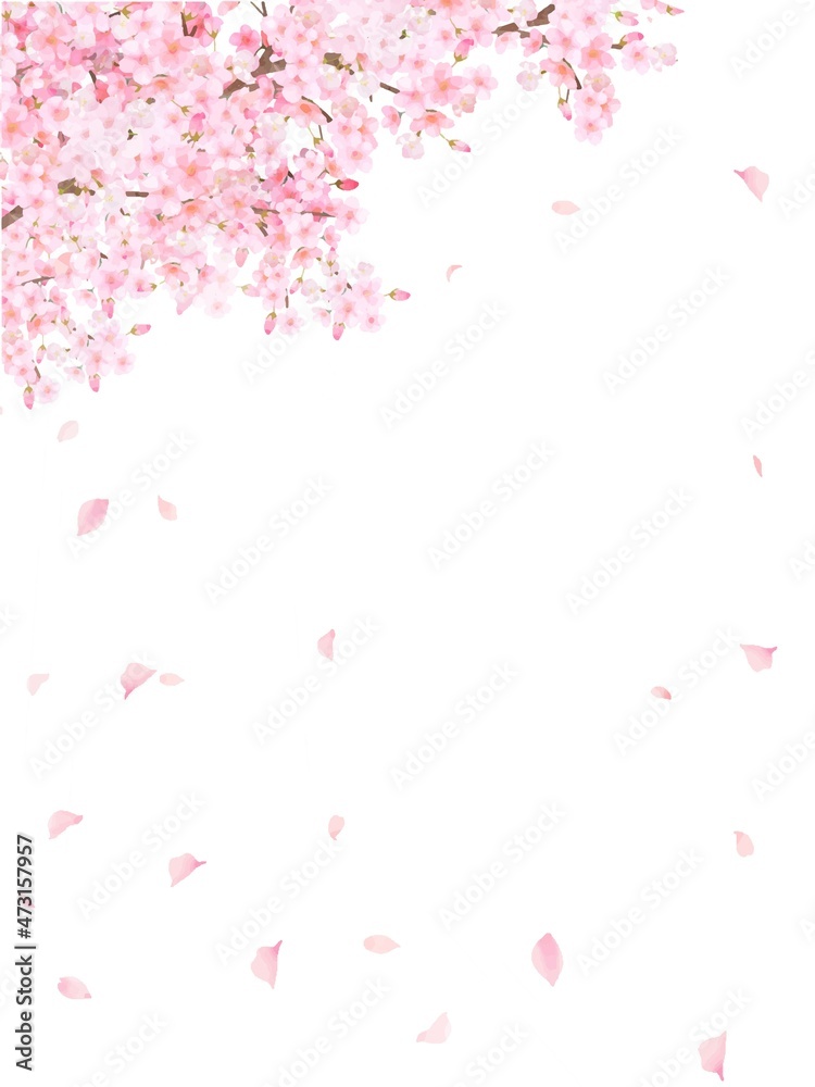 美しく華やかな満開の桜の花と花びら舞い散る春の白バック縦フレームベクター素材イラスト Stock Vector Adobe Stock