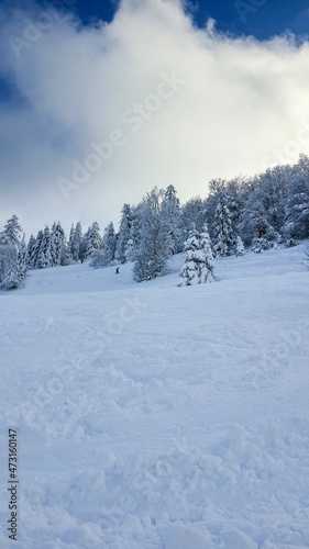 view of snowed ukrainian carpathian mountains