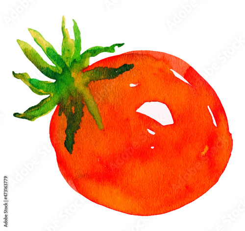 watercolor tomato vector. Red vegetables, natural food