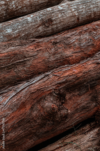 Piękne drewniane brązowe tło, tekstura drzewa.