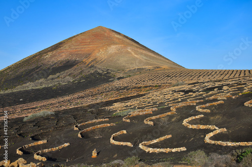 The wine-growing area of La Geria, Lanzarote, in the winter. In the background Montana Guardilama. Canary Islands. Spain. photo