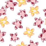VIntage plumeria flower seamless pattern isolated on white background.