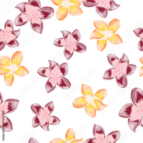 VIntage plumeria flower seamless pattern isolated on white background.