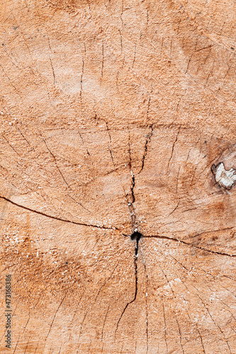 Piękne drewniane brązowe tło, tekstura drzewa.