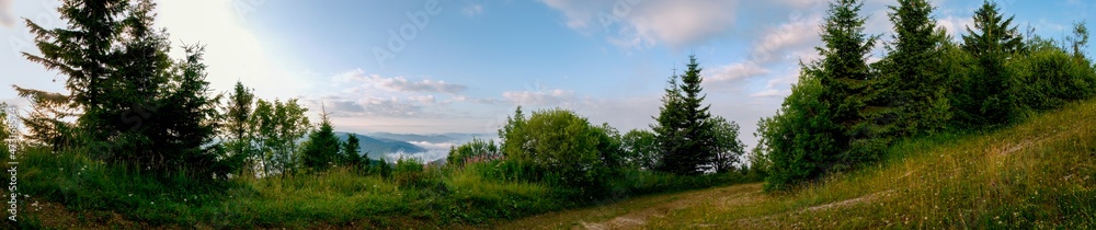 Panorama of a tourist tent on a green meadow on a background of forests and peaks