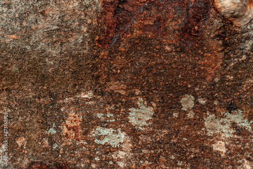 Piękne drewniane brązowe tło, tekstura drzewa.