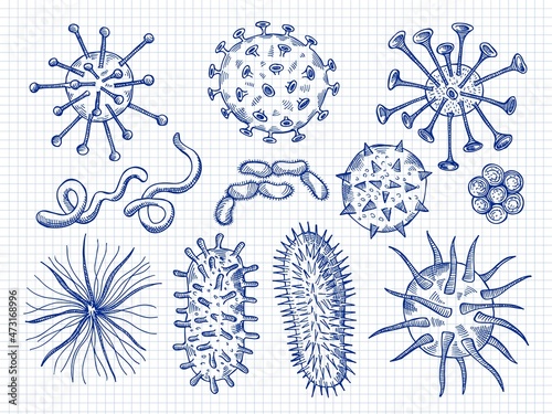 Sketch viruses. Covid bacteria microbiology cell danger biological disease signs recent vector hand drawn illustrations
