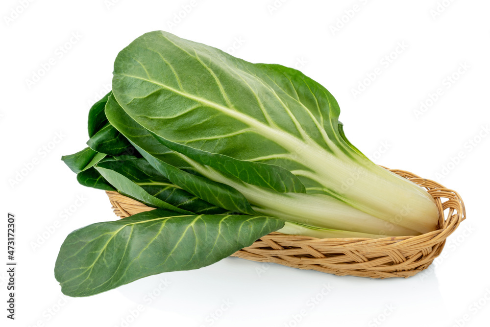 fresh swiss chard isolated on white background fresh swiss chard isolated on white background