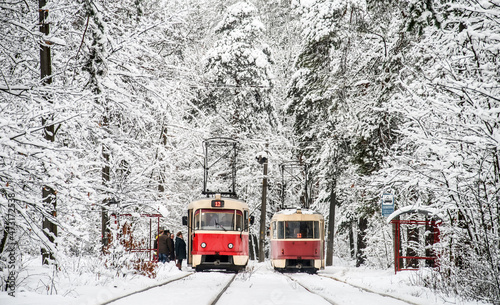 Two trams on route 12 met at a stop in the winter forest.