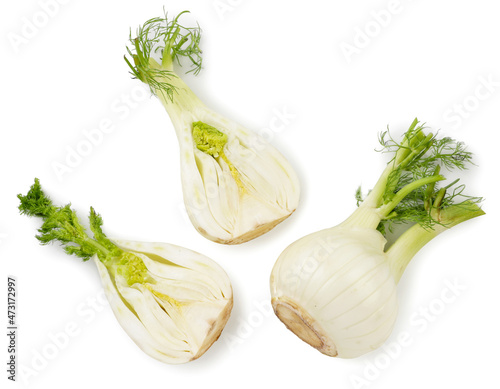 Raw fennel whole and half on a white background, isolated. Top view