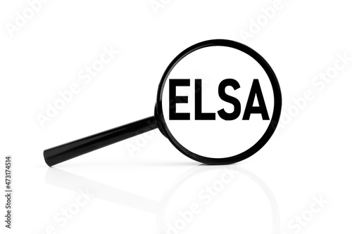 ELSA. text inside the magnifier. magnifying glass on white background