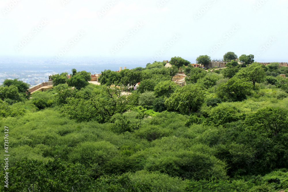 Nahargarh fort garden. Jaipur, India Nahargarh fort garden. Jaipur, India