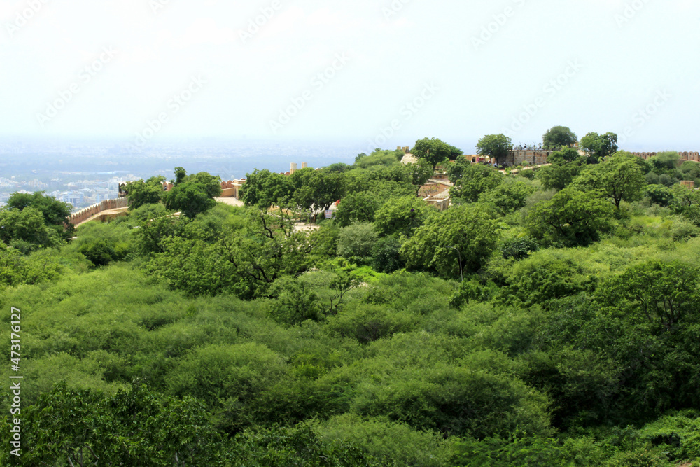 Nahargarh fort garden. Jaipur, India