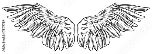 Beautiful white angel spreaded wings, symbol of freedom, hand drawn monochrome vector illustration
