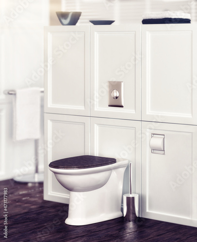 Classical Toilet in Design  detail  - 3D Visualization