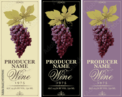 Set of vertical wine labels with realistic bunches of red grapes and calligraphic inscriptions in a frames with curls. Wine collection premium quality. Vector illustration