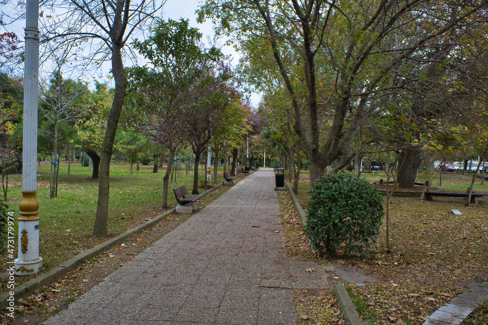 Desolate road in a park in autumn session, in Kadikoy, Istanbul 