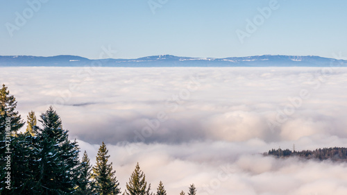 Capping inversion, mountain and trees. Background photo of low clouds in mountains. Winter alpine landscape in Switzerland.
