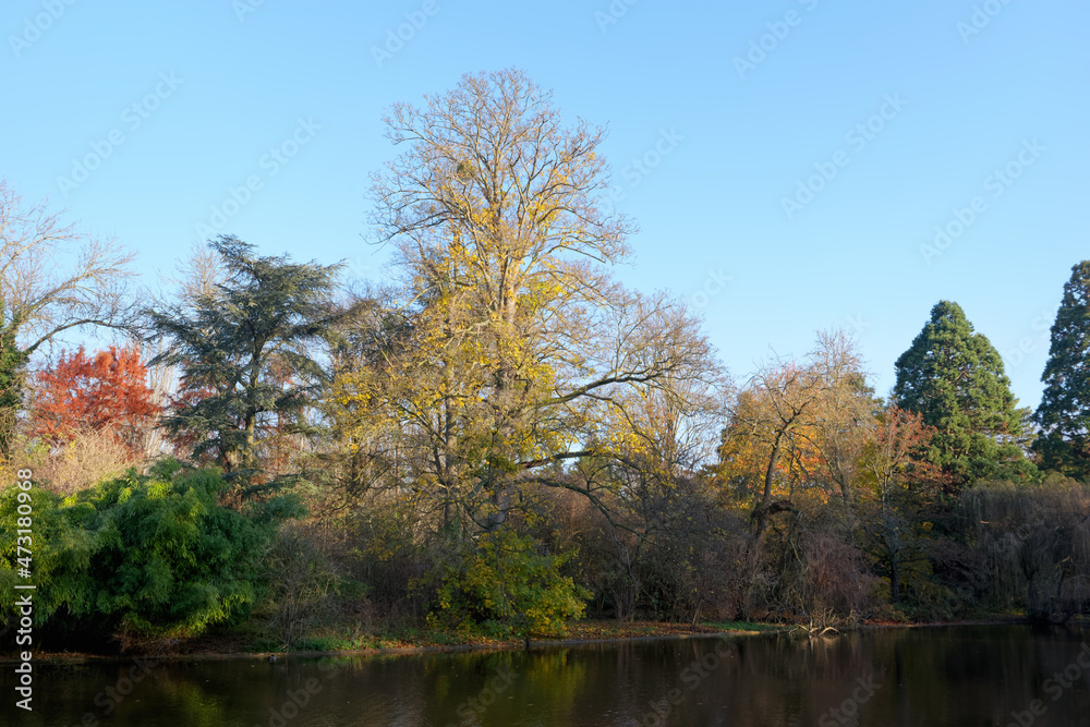 Saint-Mandé lake in the Bois de Vincennes. Paris 12th arrondissement