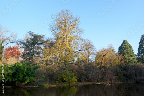 Saint-Mandé lake in the Bois de Vincennes. Paris 12th arrondissement