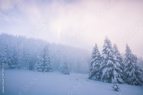 paysage de neige en hiver à Chamrousse dans le massif de Belledonne dans les alpes en France