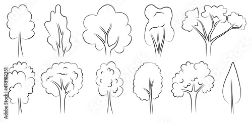 the set of images of forest trees. The set is made in black and white, in vector graphics
