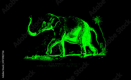 silhouette of a green elephant on a black background