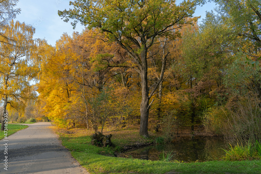 Golden autumn in the city park. Sunny October morning. Beautiful autumn landscape. A small pond and an asphalt path stretching into the distance. Golden autumn in the city park. Sunny October morning. Beautiful autumn landscape. A small pond and an asphalt path stretching into the distance.