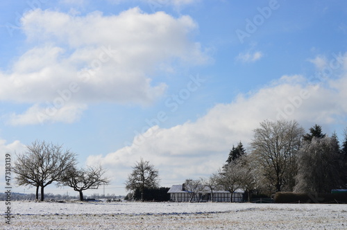 Wallpaper Mural Winterlandschaft mit Bäumen und Fachwerkhaus. Torontodigital.ca