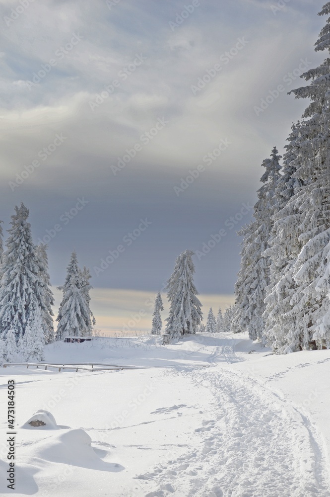 Zima w górach - obrazy, fototapety, plakaty 